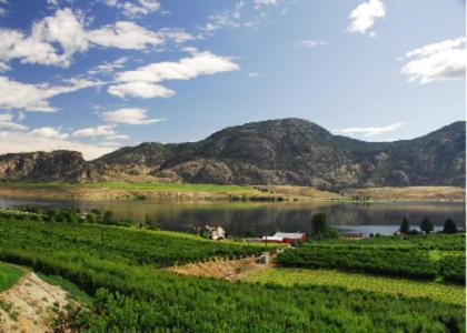 Ciliegia Villa Osoyoos Eksteriør bilde